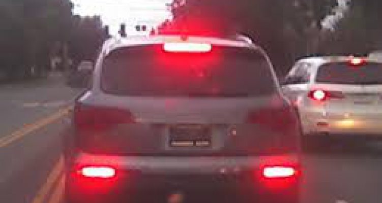 この画像は本文とは関係ありません